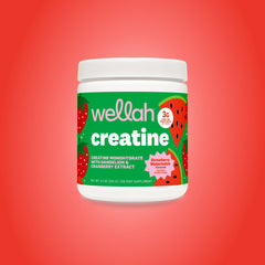 Wellah Nutrition Creatine Monohydrate - 50 Servings, 3G Creatine, Supports Energy, Muscle Recovery & Strength, Cognitive Health Dietary Supplement Powder