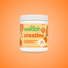 Wellah Nutrition Creatine Monohydrate - 50 Servings, 3G Creatine, Supports Energy, Muscle Recovery & Strength, Cognitive Health Dietary Supplement Powder
