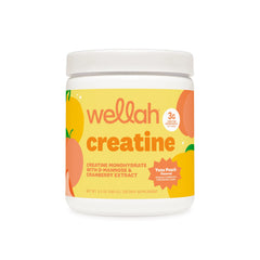 Wellah Nutrition Creatine Monohydrate - 50 Servings, 3G Creatine, Supports Energy, Muscle Recovery & Strength, Cognitive Health Dietary Supplement Powder